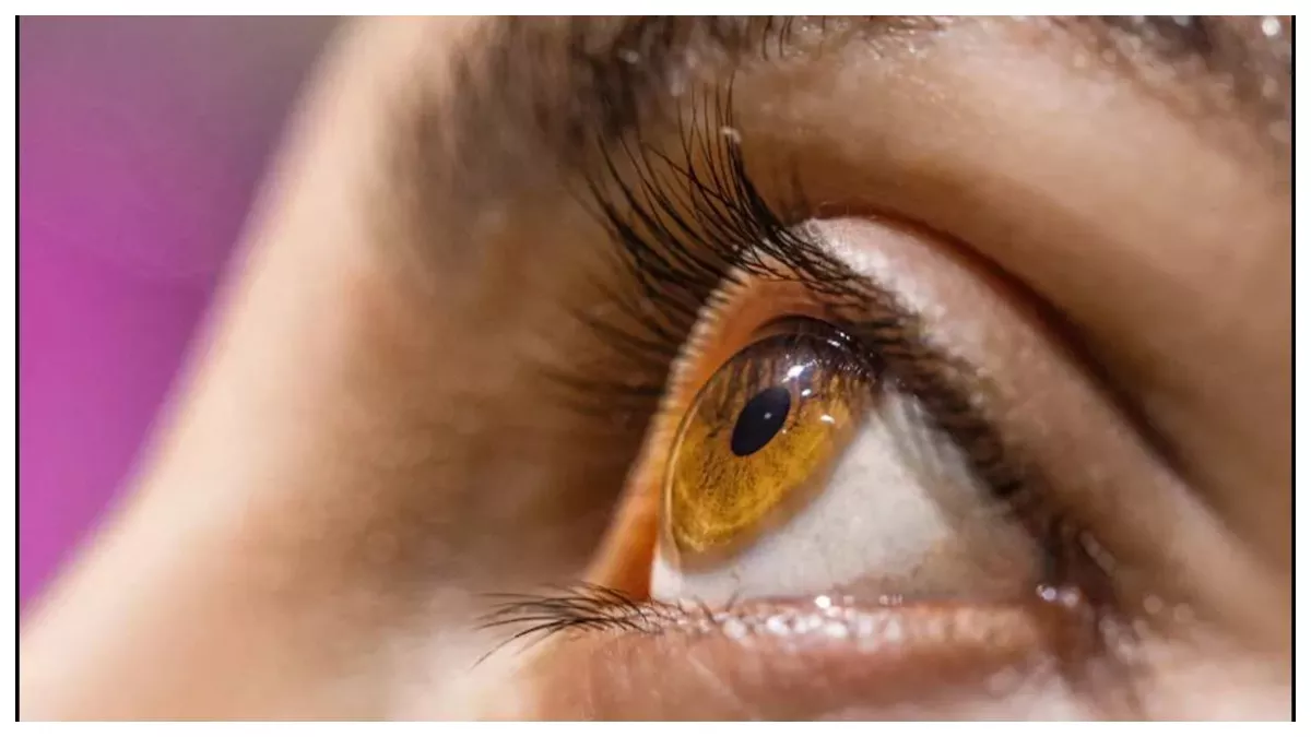 Here's what the blinking of the eyes indicates: