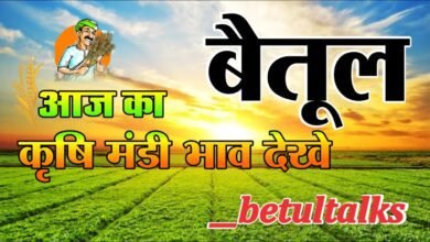 Betul Mandi Bhav 24th June 2025