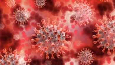 Covid-19 Alert: A new variant of coronavirus has emerged in Madhya Pradesh.