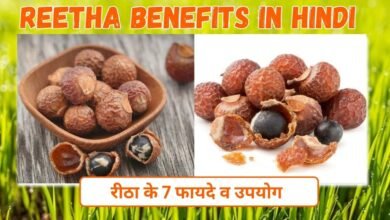 How to grow a reetha plant at home? A detailed guide